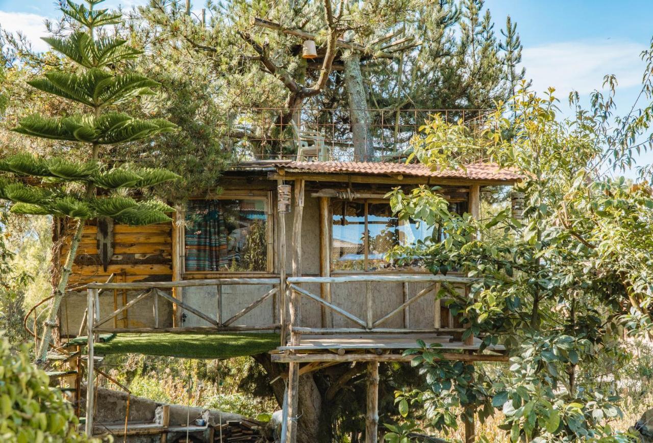 Campo Lago Hospedaje San Pablo Del Lago Exterior foto